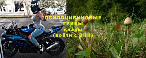 ALPHA-PVP Белокуриха