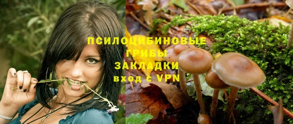 ALPHA-PVP Белокуриха